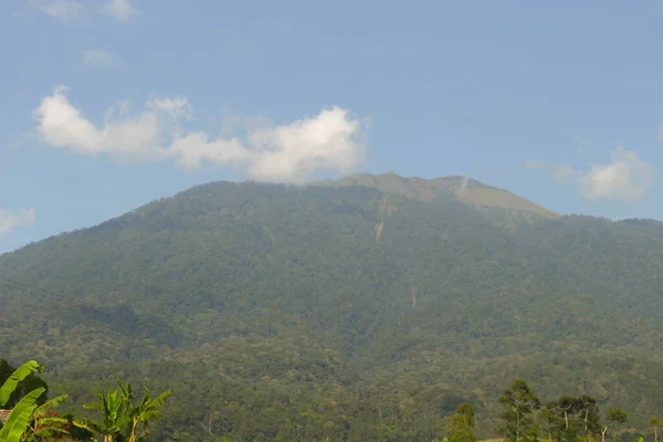 Natuurlijke Omgeving Met Mount Ciremai Met Heuvels Rijstvelden Saung Bomen — Stockfoto