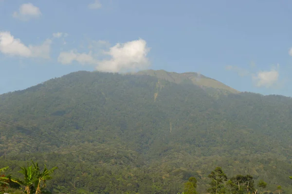 Naturlandskap Med Mount Ciremai Med Kullar Risfält Saung Träd Indonesien — Stockfoto