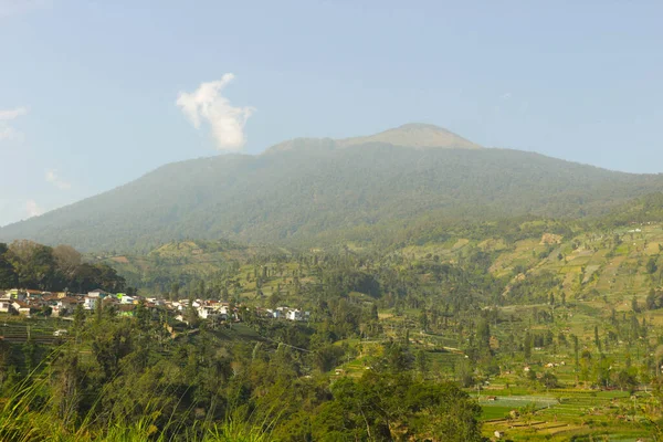 Naturlandschaft Mit Ciremai Berg Mit Hügeln Reisfeldern Saung Bäumen Indonesien — Stockfoto
