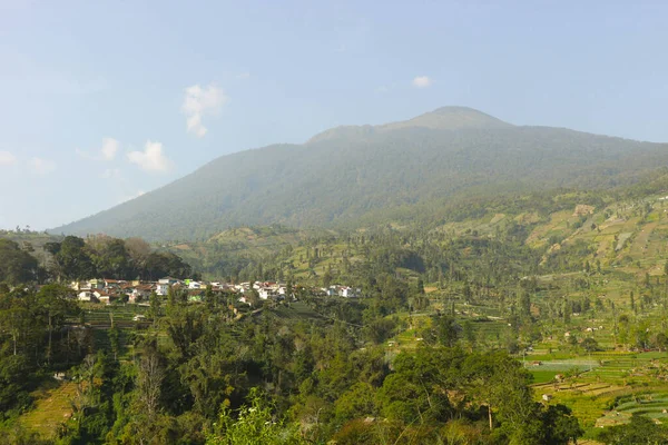Naturlandskap Med Mount Ciremai Med Kullar Risfält Saung Träd Indonesien — Stockfoto