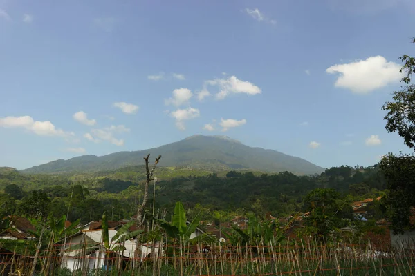 自然景观与西里米山与山丘 桑树在印度尼西亚 — 图库照片