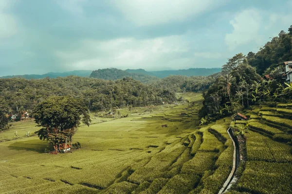 インドネシアのサウンツリーを備えたケイレマイ山の自然景色 — ストック写真