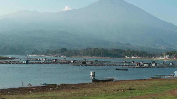 Lodě Jsou Aktivní Rybolovu Velké Nádrži Darma Kuningan — Stock video