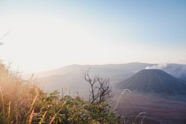 the beauty of the tourist area of Mount Bromo or Mount Semeru which is in East Java and the highest on the Indonesian island of Java clipart