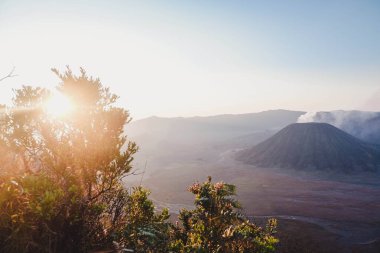 the beauty of the tourist area of Mount Bromo or Mount Semeru which is in East Java and the highest on the Indonesian island of Java clipart