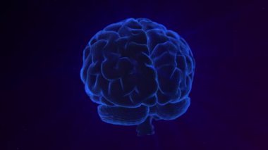 3D insan beyni, hareket kamera efektli yüksek teknoloji doğrusal ızgaradan yapılmış, 4k, 60 fps