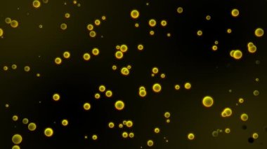 Yumuşak ışık efekti, hareket grafikleri, döngülü video, 4k, 60 fps ile koyu bir zemin üzerinde rastgele yüzen sarı baloncukların kusursuz döngü animasyonu