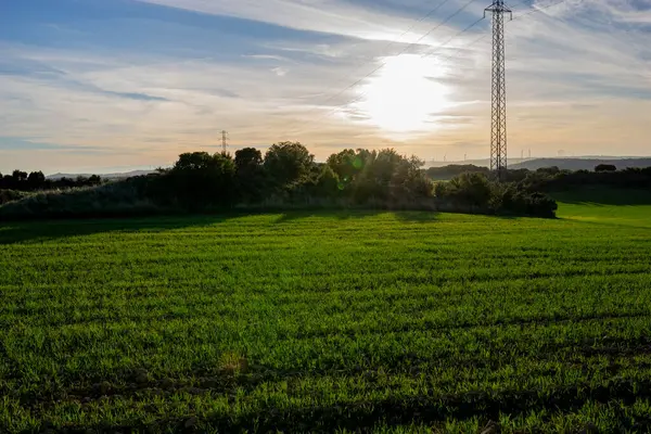 İKİNCİ GÜNEŞ BÜYÜK Yemyeşil çayırlar