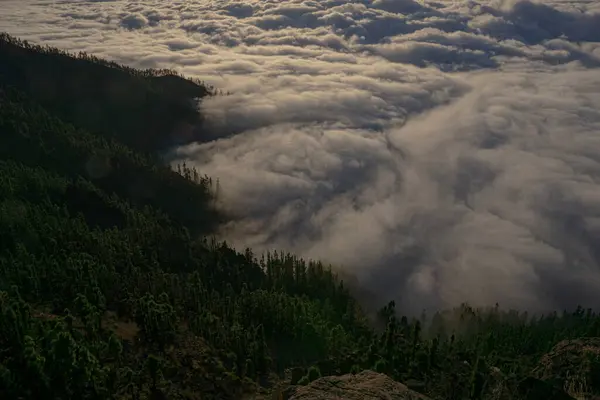 CANARY Adalarındaki Kıyı Şeridi