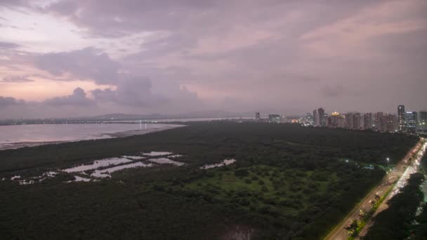 在印度马哈拉施特拉邦的一个城市 纳维孟买美丽的景象是 在连接Vashi和Belapur的棕榈海滩公路旁边 有着茂密的红树林植物和溪水 还有一条新的海豹路 — 图库视频影像