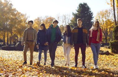 Bir grup mutlu erkek ve bayan arkadaş parkta yürüyor. Güler yüzlü kızlar ve erkekler, güneşli bir sonbahar gününde parkta yürürken günlük kıyafetlerini giyerler. Arkadaşlık, boş zaman, açık hava aktiviteleri.