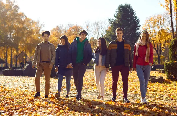 一群快乐的男女朋友在公园里散步 在阳光明媚的秋日 穿着温暖休闲服的女孩和男孩在公园里散步 户外活动 免版税图库图片
