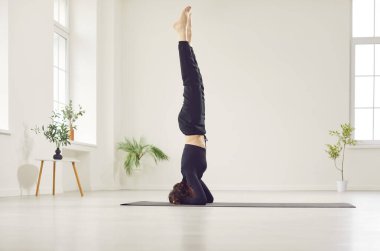 Genç çekici bir kadın yoga yapıyor, salamba sirsasana egzersizi yapıyor, başucu pozisyonu alıyor, beyaz stüdyoda, evde, tek başına sağlık dengesi için meditasyon yapıyor.