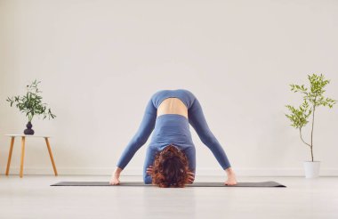 Spor giyinen Yogi 'li bir kadın, aşağı doğru bakan köpek ya da Adho Mukha Shvanasana pozu veriyor, yoga dersi sırasında spor kulübünde egzersiz yapıyor, yoga stüdyosunda vücut için Asana, yeşil ev bitkilerinin arasında ev yapıyor.