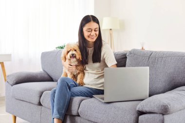 Neşeli, gülümseyen genç bir kadın kanepede oturuyor, dost canlısı köpeğine sarılıyor. Keyifli kız, iş ya da eğlence için dizüstü bilgisayar kullanıyor. Yanında kürklü arkadaşıyla rahat ve mutlu..