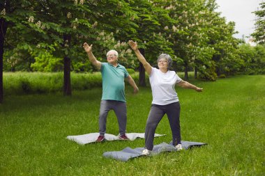 Mutlu son sınıf çifti doğada spor yapıyor. Neşeli, pozitif, enerjik emekli adam ve kadın yazın yeşil park çimlerinde yoga yaparak eğleniyorlar. Fitness ve sağlıklı yaşam tarzı konsepti