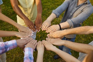 Yeşil park çimlerinde çember oluşturup ellerini birleştiren farklı gençlerden oluşan farklı bir ekip. Takım çalışması kavramı, doğaya yardım etmek ve çevreyi kurtarmak. Kırpılmış çekim, kavramsal arkaplan