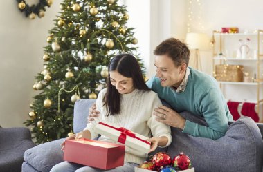 Evdeki koltukta oturmuş kırmızı hediye kutusunu açan mutlu genç bir kadının portresi. Adam sevgilisini tebrik ediyor ve Noel tatilinde hediye veriyor. Birbirine aşık çift yeni yılı kutluyor.