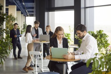 Modern ofiste iş projesini tartışan kendine güvenen genç iş adamları ya da bilgisayar ekranına bakan yeni girişimler. Şirket çalışanları toplantı ya da iş konferansı hakkında konuşuyor..