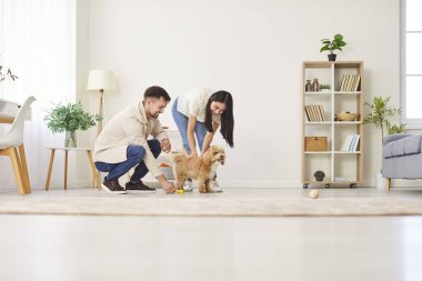 Evli çift evde oyuncaklarla köpek eğiterek vakit geçiriyorlar. Evcil hayvan sahipleri hayvanlarla etkileşimli aktivitelere girişiyor, bağları güçlendiriyor ve birlikte zaman geçirmekten keyif alıyorlar..
