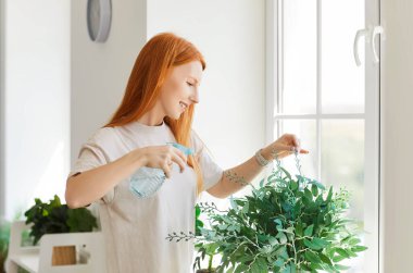 Genç, mutlu, kızıl saçlı, sıradan kıyafetler giyen ev hanımı yeşil bir bitkinin üzerine su püskürtüyor. Evdeki oturma odasının penceresinde duruyor. Bahçecilik ve ev bitkileri konsepti.