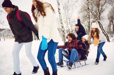 Kışın karda bir kızak çekme zevk arkadaş grubu