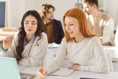 Masada oturan ve parlak sınıfta birlikte ders çalışan iki genç bayan üniversite öğrencisi. Görevde işbirliği yapan gülümseyen sınıf arkadaşları, dizüstü bilgisayar kullanarak ve projeyi veya sunumu çift olarak hazırlıyorlar.