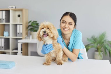 Mutlu gülümseyen genç hemşire portresi ya da mavi üniforma giyen veteriner kadın modern veteriner kliniğinde duran şirin hasta köpeğe sarılıyor. Hayvan muayenesi ve veterinerlik yardımı kavramı.