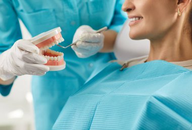 Diş hastalıklarını ve tedavileri açıklamak için çene modeli gösteren stomatoloji doktoru, beyazlatma prosedürü sağlık dişçiliği, ağız bakımı, diş hekimi, diş hekimi ile birlikte çalışan mutlu kadın hastalarla birlikte çalışan diş hekimi