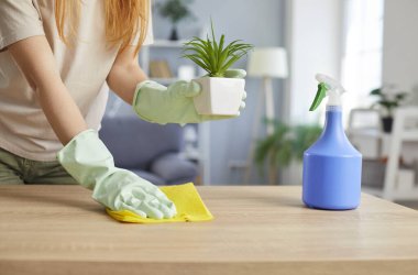 Ev işi yaparken mobilyaların tozunu alan ve cilalayan bir kadının yakın plan görüntüsü. Ev işleri, temizlik ve temizlik sırasında evi ayakta tutma çabaları..