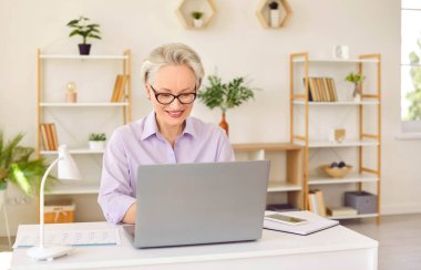Üst düzey, gülümseyen, gözlüklü ve şık bluzlu bir iş kadını rahat modern bir ofiste, ön tarafta dizüstü bilgisayarda çalışıyor. Emekli iş, profesyonel, yaşlılık konseptinde çalışma aktivitesi.