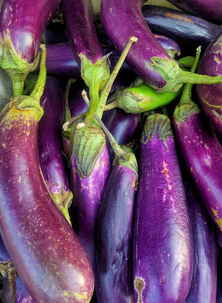 fresh purple eggplant in the market
