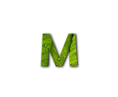 gerçekçi tasarım ögesi: yeşil