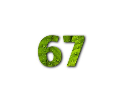 6 numara 6 numara 3 numara yeşil beyaz zemin üzerinde izole.