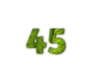 yeşil 45 numara beyaz arkaplanda 4 numara