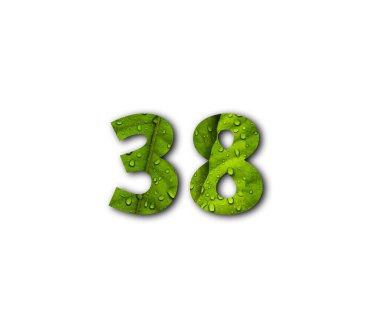 3 numara, beyaz arkaplanda yeşil yapraktan yapılmış.