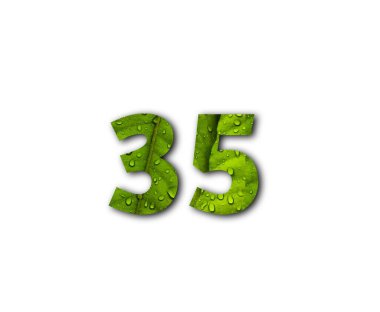 yeşil numara 53, beyaz arkaplan.