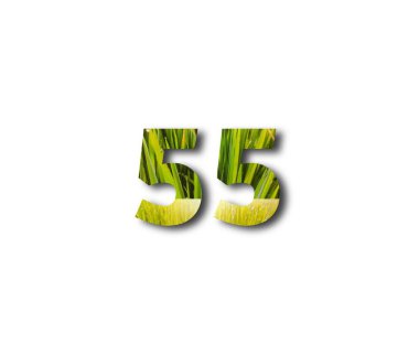 3 d numara 5, kesme efektli temiz havanın yeşil arkaplan dokusu.