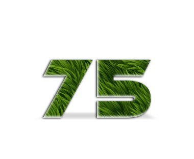 3 d yeşil çimen numarası 7