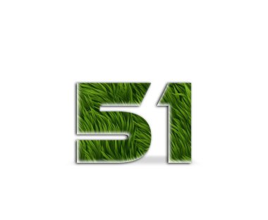 45 numaralı çimen logosu