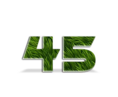 Beyaz arkaplanda 43 yeşil çimen numarası logosu