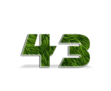 çimen numarası 4 3 4