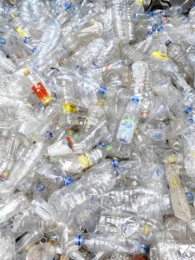 Plastik şişe su ve çöp.