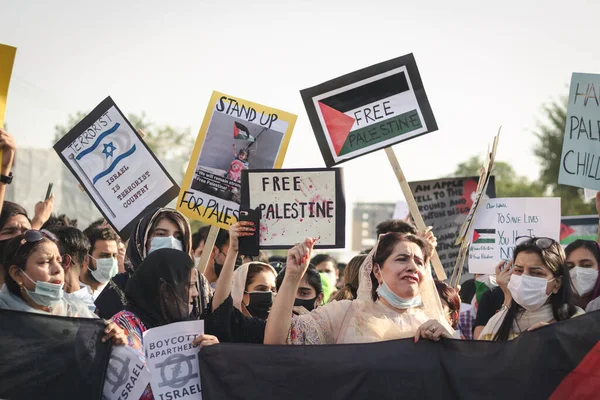 Menschen Mit Mehreren Plakaten Solidarität Für Palästina Zeigen Stockbild