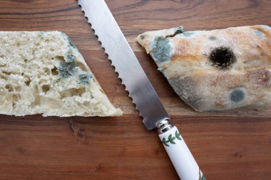 Ekmek bıçağıyla tahta kesme tahtasının üzerinde küflü ekmek parçası. Küf içinde çürümüş bir somun ekmek mutfak tahtasının üzerinde çürüyor. Ahşap atık kavramı..
