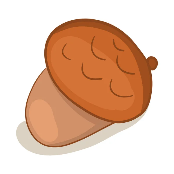 Cute Simple Brown Acorn — Stock Vector