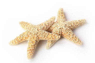 Beyaz arka planda izole edilmiş denizyıldızı