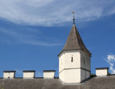 Avusturya 'daki Hohenwerfen Kalesi