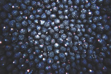 Taze böğürtlen yakın