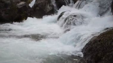 Dağ nehri kayaların arasından akıyor.